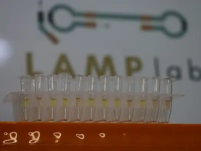 Startup recebe apoio da Fundect e inova com diagnóstico rápido de leishmaniose