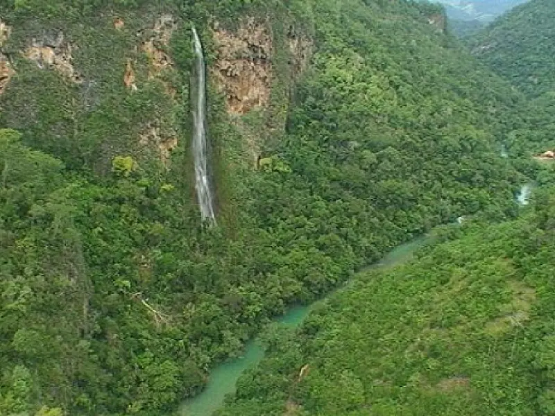 Mato Grosso do Sul é o 4º no ranking da regeneração da Mata Atlântica no Brasil