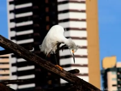 Exposição fotográfica sobre pontos turísticos e natureza da Capital é aberta nesta quinta
