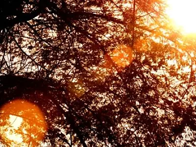 Tempo bom com sol forte em todas as regiões de MS