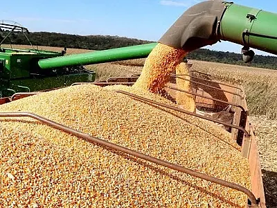 Mais uma vez soja, celulose e carne bovina puxam para cima as exportações de Mato Grosso do Sul  
