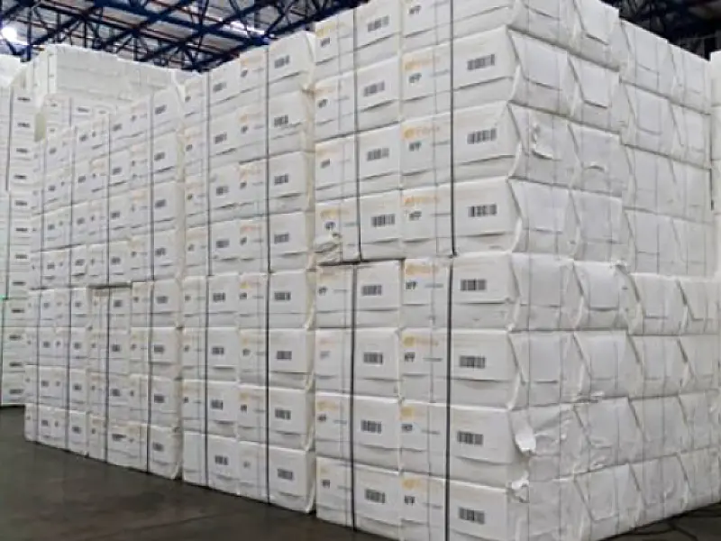 Celulose garante saldo US$ 537 milhões na balança comercial do 1º trimestre em MS