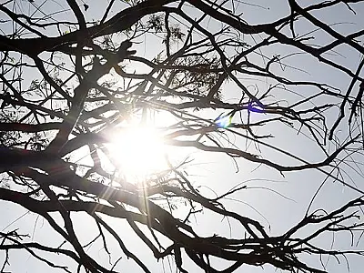 Temperaturas acima da média e tempo seco são destaques na previsão desta terça-feira