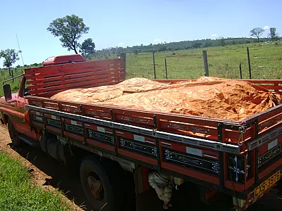 PMA apreende dois caminhões carregados de areia