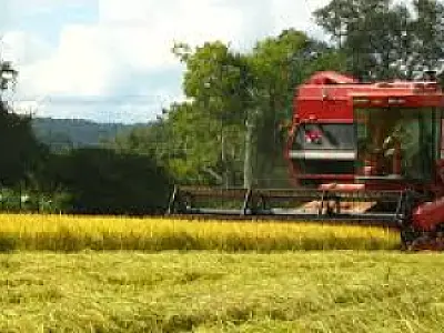 Agronegócio respondeu por 1/3 da exportação brasileira no 1º trimestre