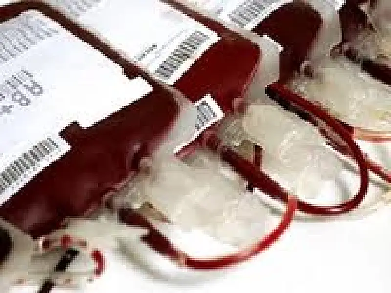 Hemossul não funcionará nesta sexta-feira