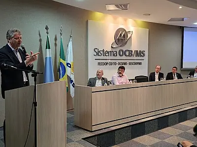 Governo Digital: processo de abertura de empresas em MS agora pode ser feito pelo WhatsApp