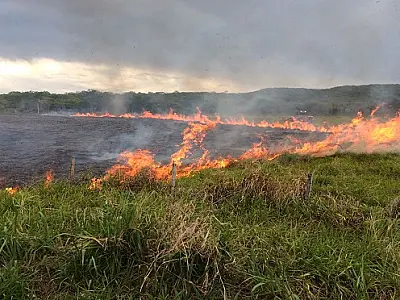 Riscos de queimadas no campo aumentam durante o período de estiagem