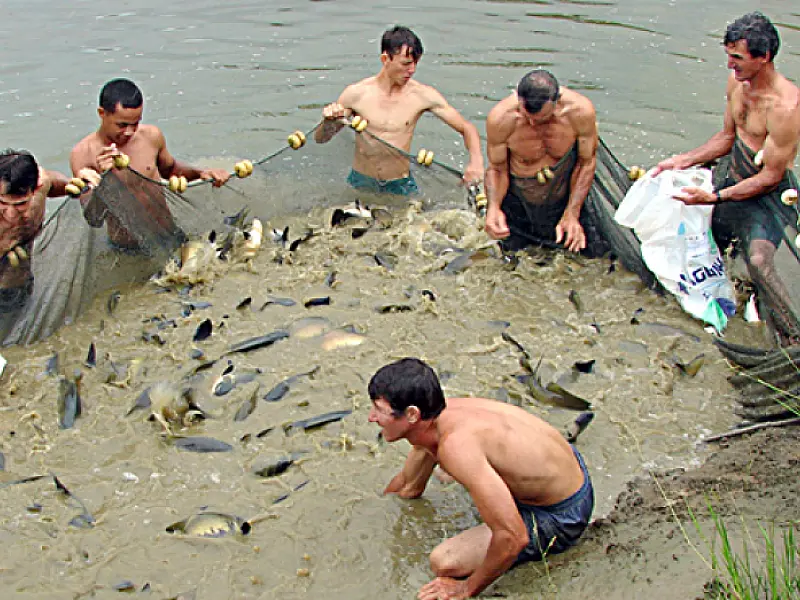 Plano Safra de Pesca e Aquicultura será lançado nesta quinta na Capital