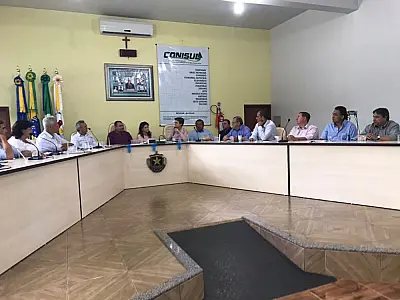 Em reunião com prefeitos do Consórcio Conisul Tereza Cristina conhece pauta de reivindicações dos gestores